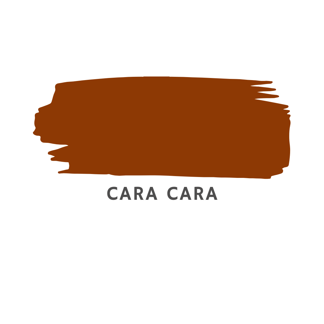 Old World - Cara Cara - Clay and Chalk Paint  || 16 oz. Pint