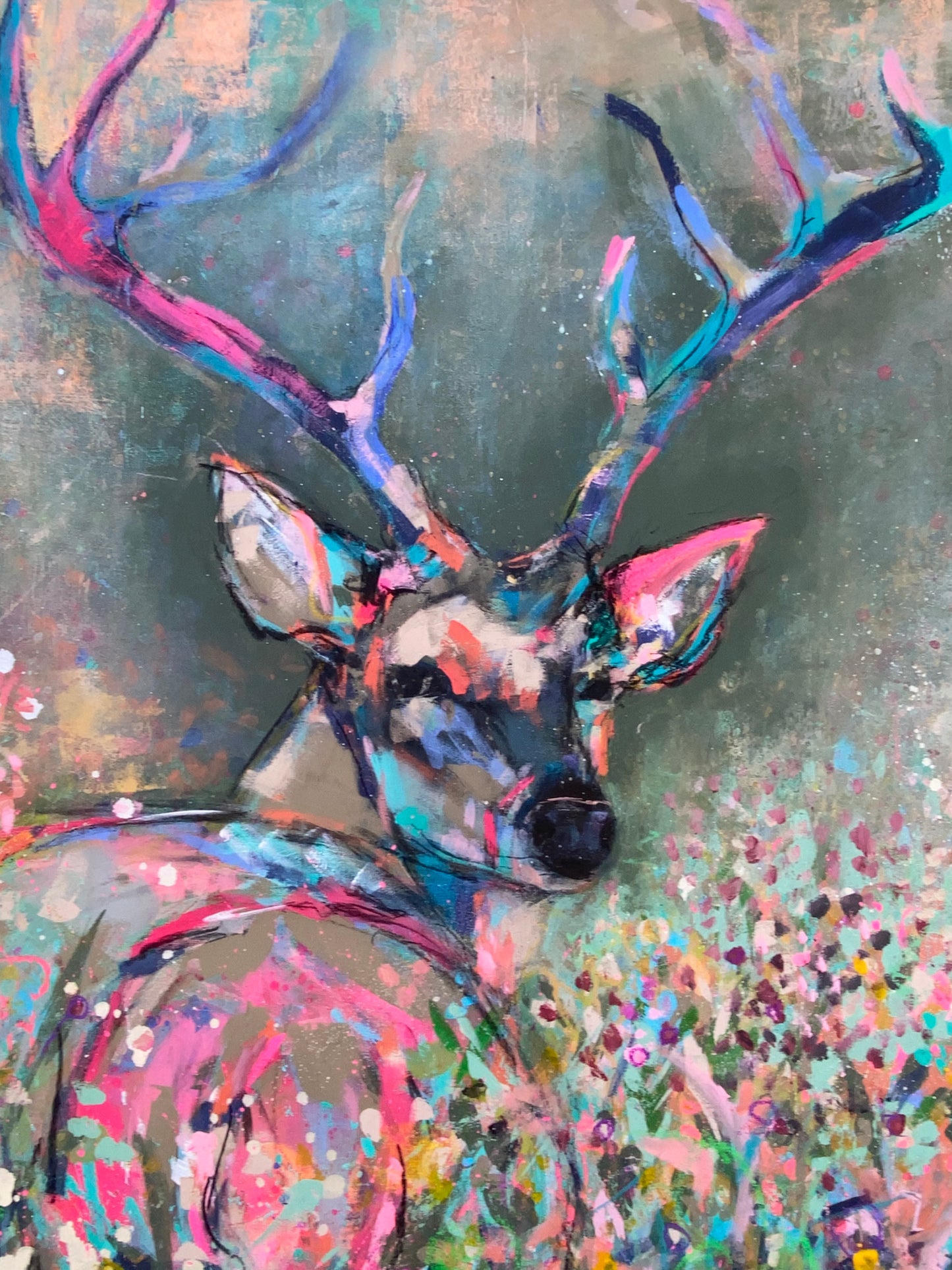 Deer in Velvet