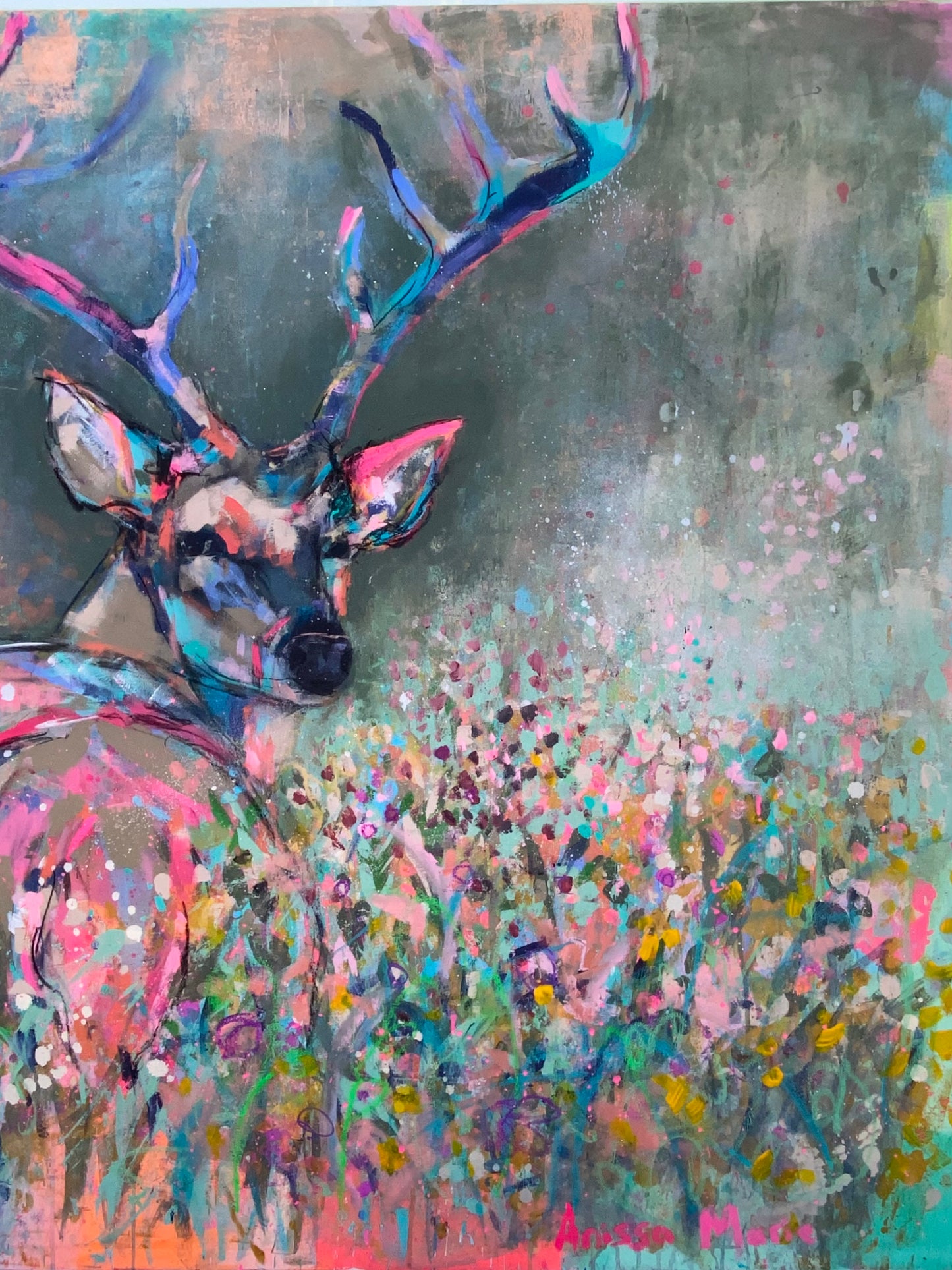 Deer in Velvet